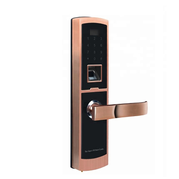 Aspects of electric deadbolt locks
