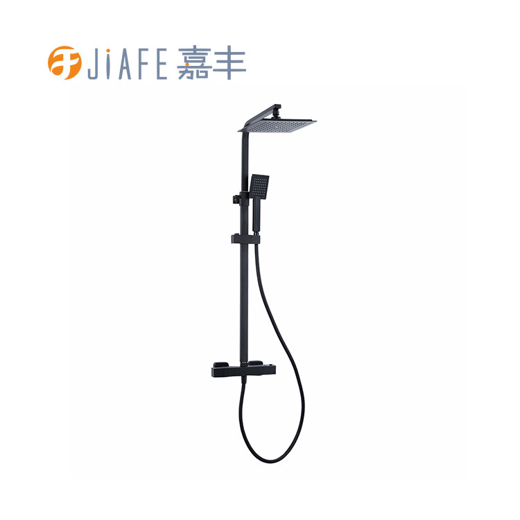 Components and features commonly found in a shower column