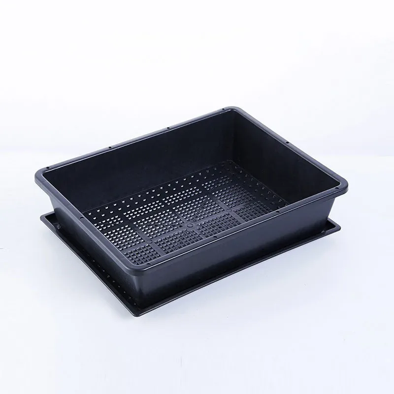 What Are the Advantages of Using Nursery Pots for Plant Growth?