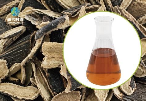 China Ecklonia Maxima Extract Which One Is Good for You?